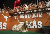 bevo 2