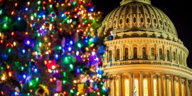 Capitol Christmas Tree