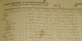 Daily Record cropped