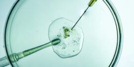 In,Vitro,Fertilization,Process,,Scientific,Conception,Moment