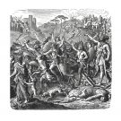 Genseric’s vandals in Italy