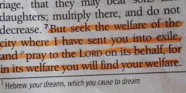 jeremiah-29-7-e1436290137574