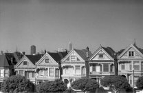 The Painted Ladies