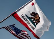 pexels-photo-3936201