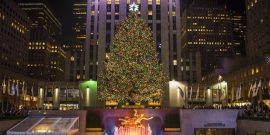 shutterstock_536307562